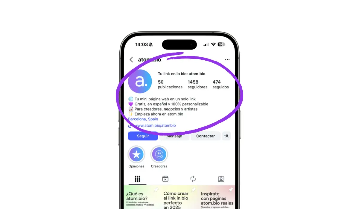 que es la bio de instagram